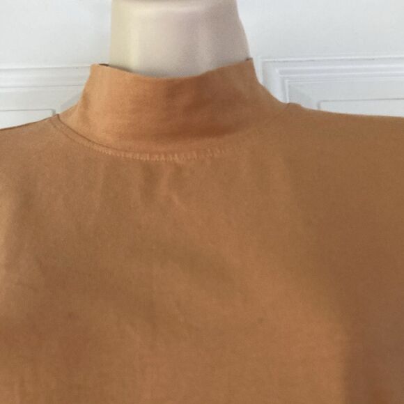 The NORTH FACE Evolution Fitted Mock Neck Tan Long Sleeve Womens Medium - Picture 3 of 12